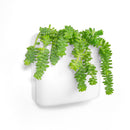 Perch Biggy Magnetic Wall Mounted Storage Organizer, White