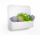 Perch Stumpy Magnetic Wall Mounted Storage Organizer, White