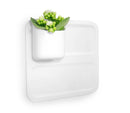 Perch Bitsy Magnetic Wall Mounted Storage Organizer, White